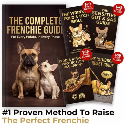 The Complete Frenchie Guide